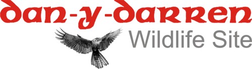Dan-y-Darren Wildlife Site